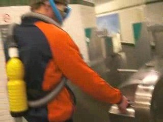 Métro parisien: une grenouille tente de prendre le métro