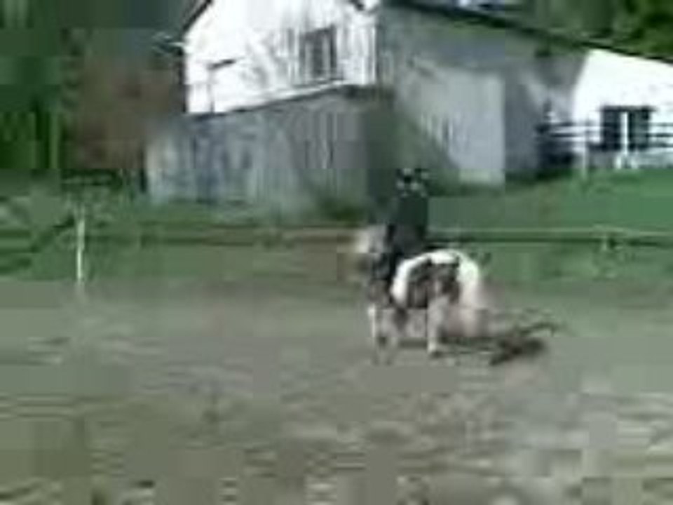 Vidéo003