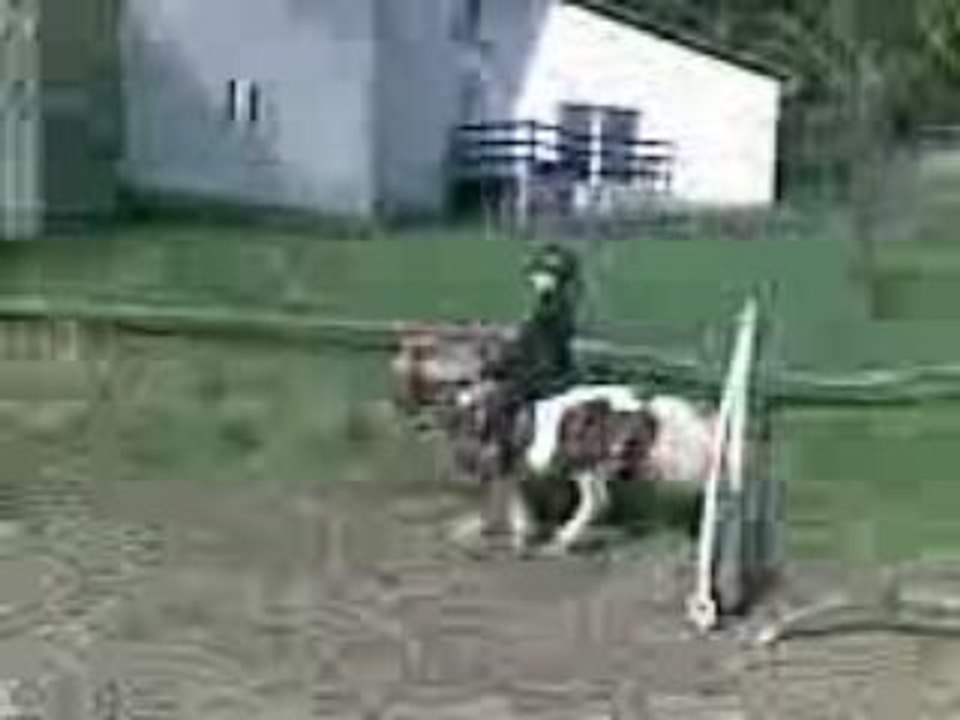 Vidéo005