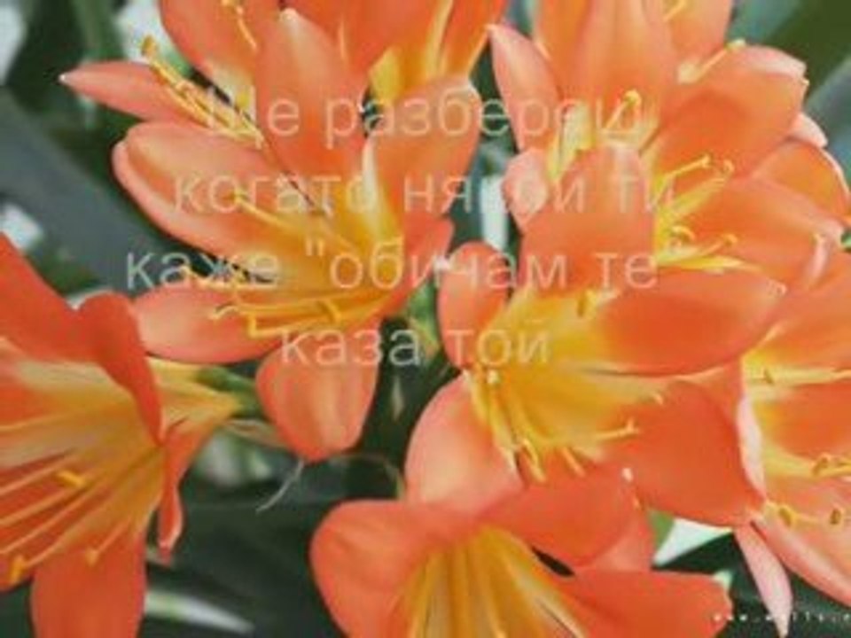 Love you