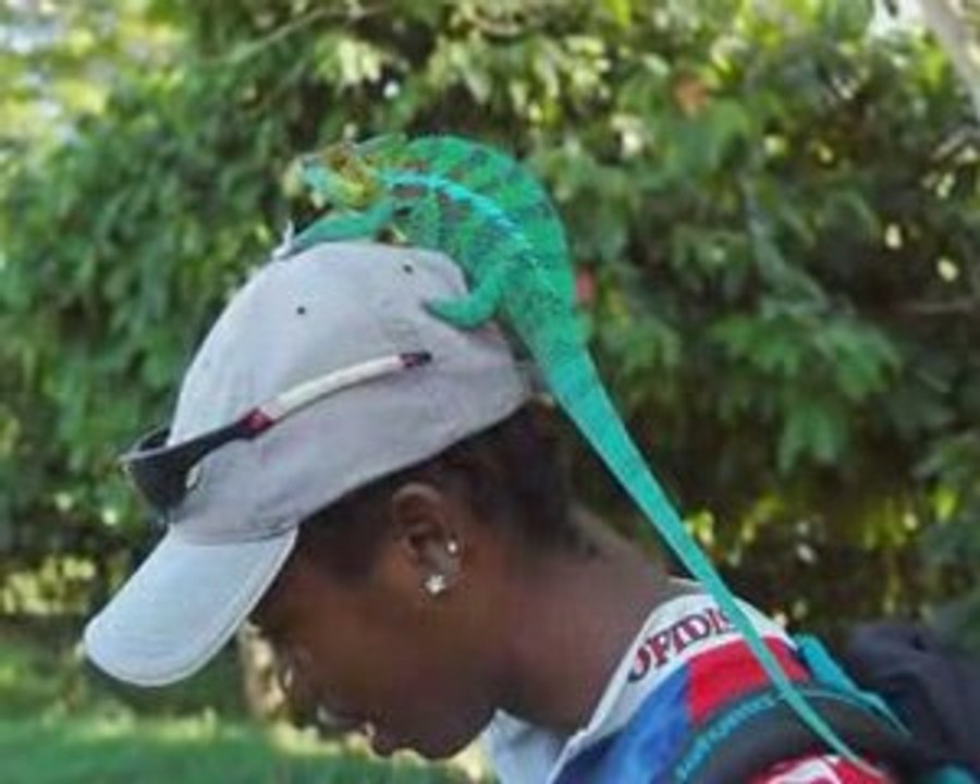 Sshow_Madagascar