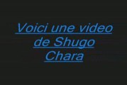 Shugo Chara