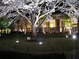 Jardin du Grand Prince Takawana Tokyo 04/2009