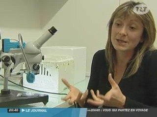 Toulouse : Du nouveau en neurosciences!
