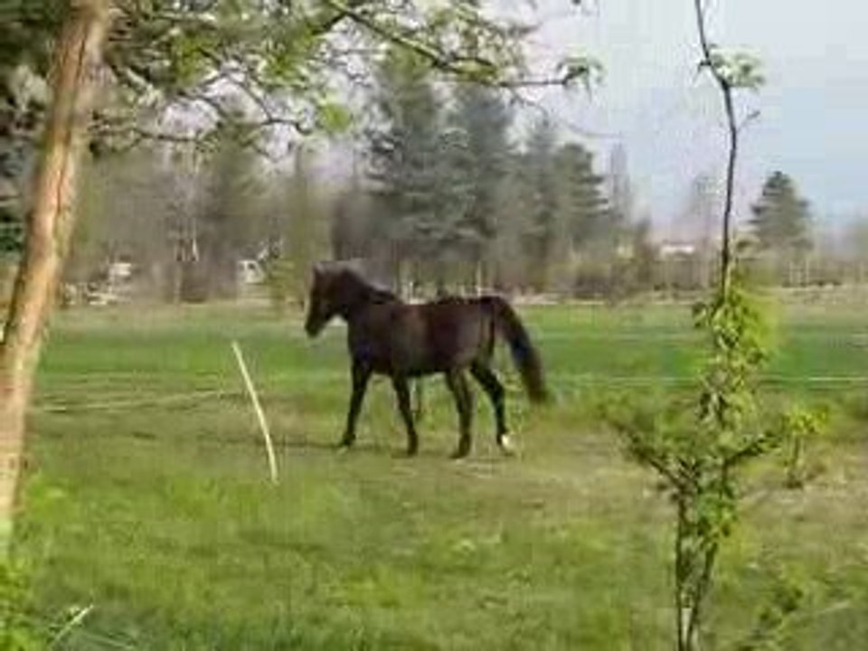 MVI_7527