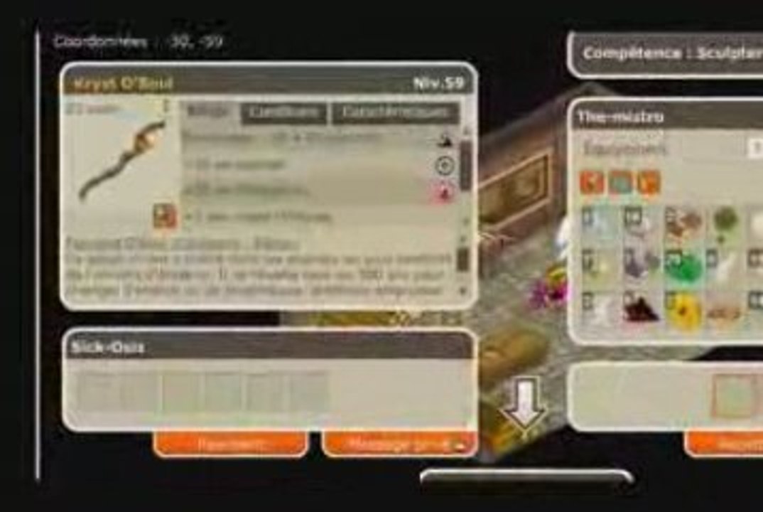 Dofus Présentation chez Luna