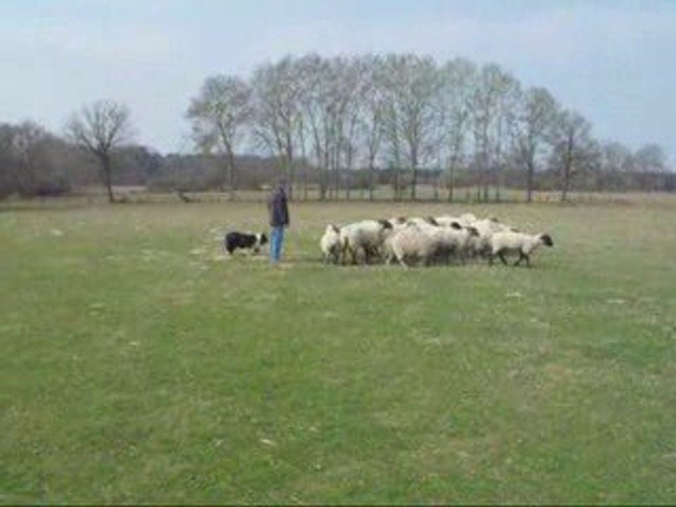 Denis s'entraine au pousse, avril 1