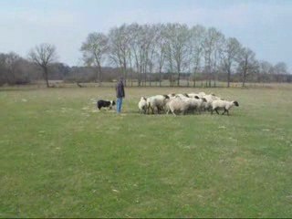 Denis s'entraine au pousse, avril 1