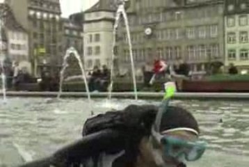 Une grenouille se baigne dans les fontaines de Strasbourg Pl