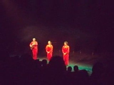 Thierry le chasseur - les wriggles