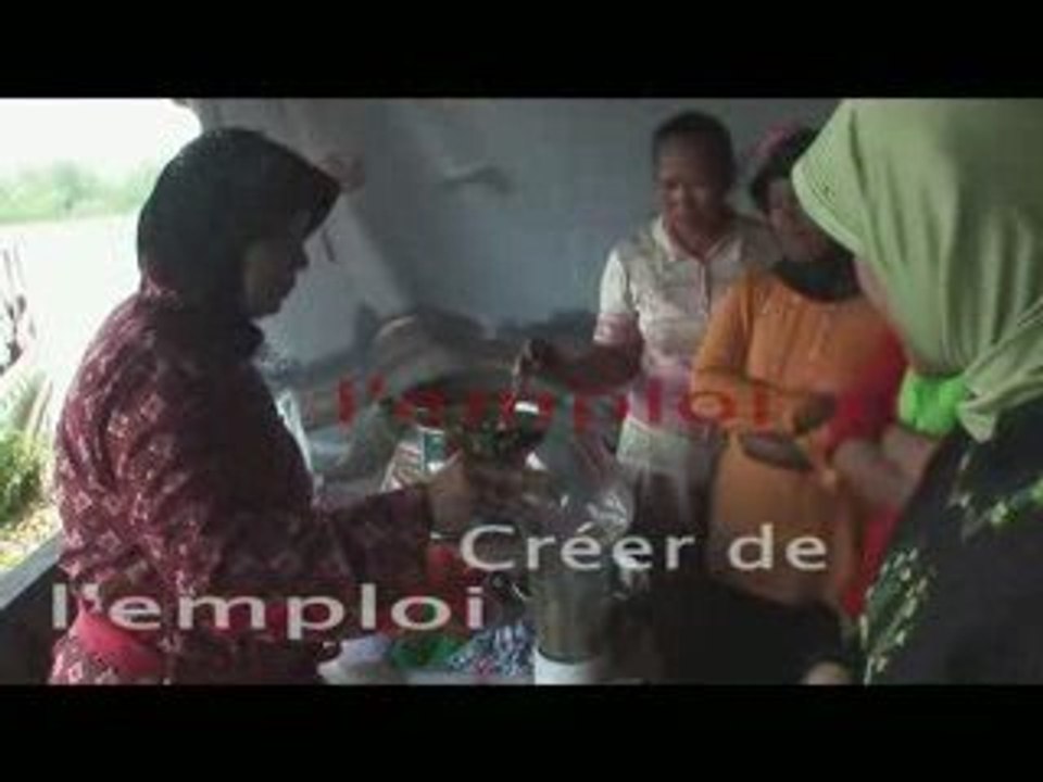 Reforestation en Indonésie avec Planète Urgence