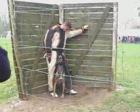 Gr4 1er sélectif Mardié 2009 recherche