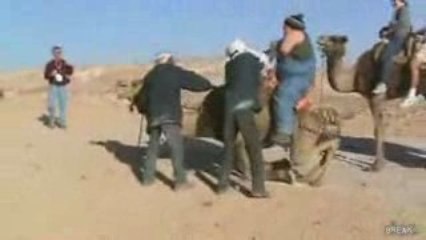 Camello non regge la tipa