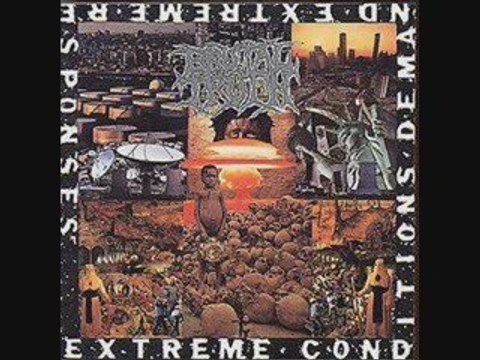 Brutal Truth - Anti Homophobe