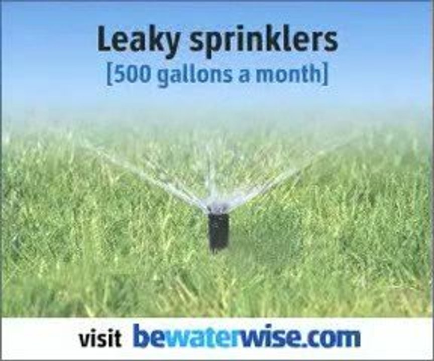 Water Saving Tips