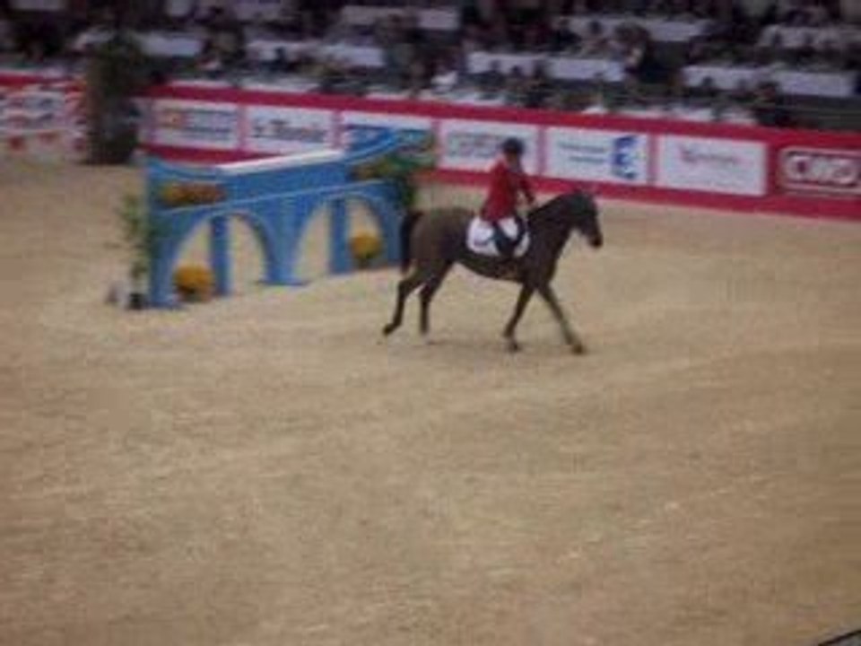 Salon du cheval CSO
