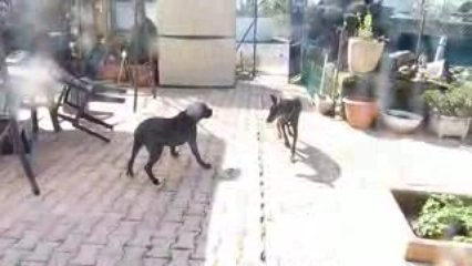 Avril 2009 d'just et diam's 029