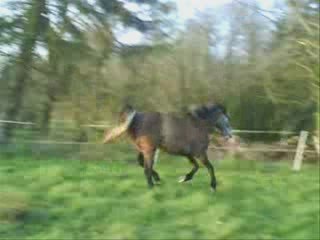 RAMSES - BALADE - 09.04.2009