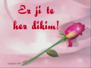 Turan Sengul Li Xwe Bas Binere