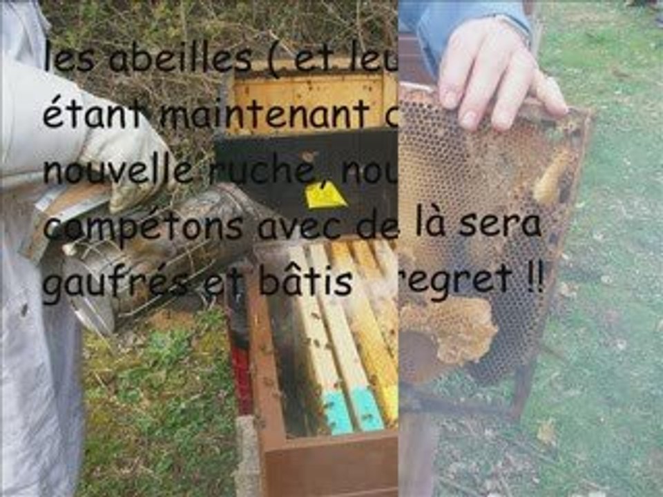 Transvasement de printemps