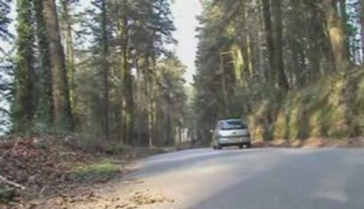 C'est le printemps dans ma culotte.