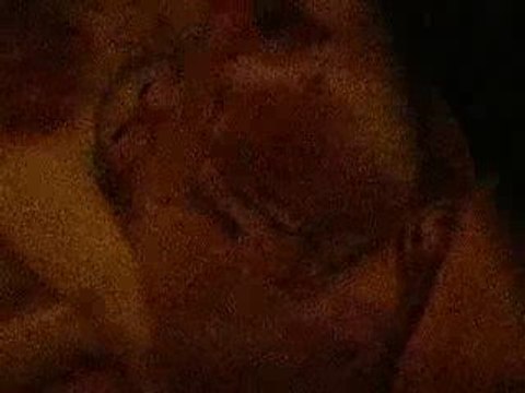 Photos chatons nés le 31032009 le 1042009 010