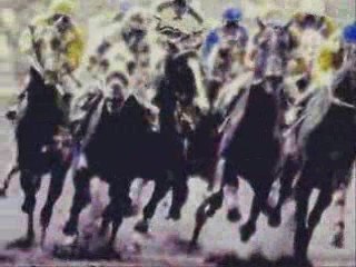 Copa GACETA HÍPICA -L 2009