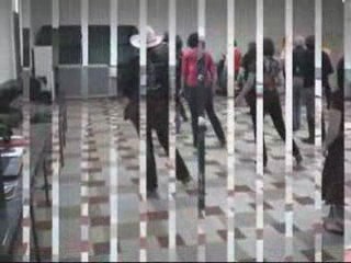 Irish stew Les Talons Sauvages Versailles