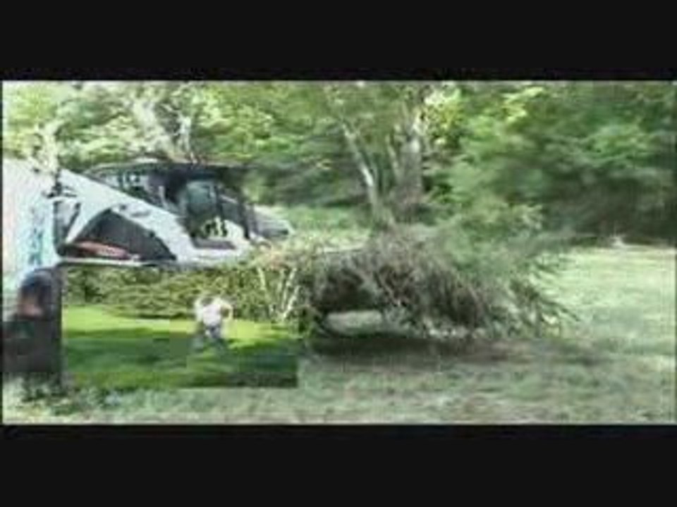 Skid Steer Loader Bucket or Fork attachment tre...
