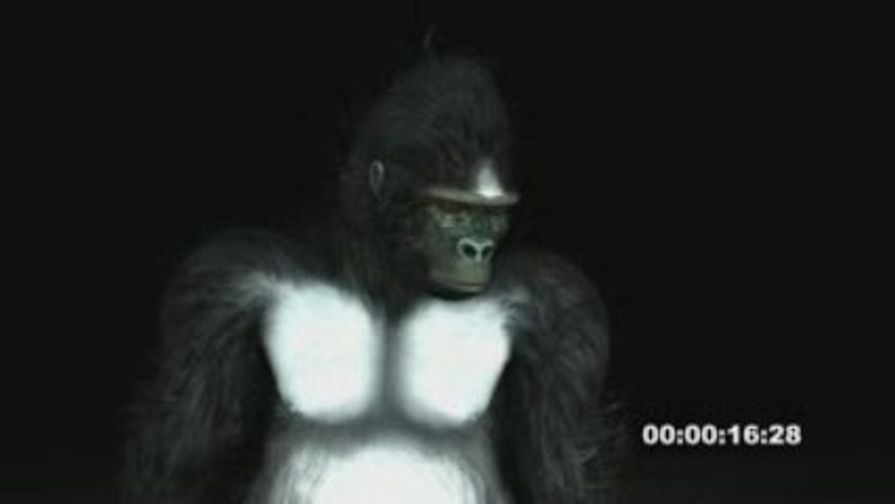 Test Mouvement Gorilla 1