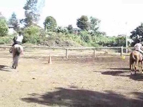 cours saut d'obstacle