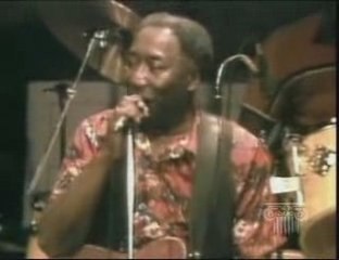 Muddy Waters & Johnny Winter - Walking Thru The Park