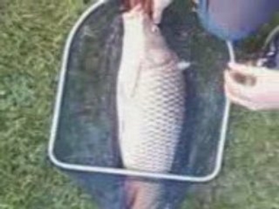 Carpe hiver dicosa a la bouillette