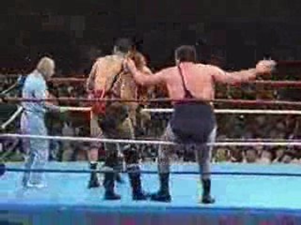 WWF New Japan All Japan Wrestling Summit 4