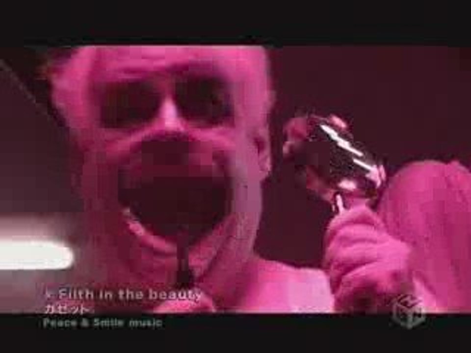 GazettE - Filth in the beauty