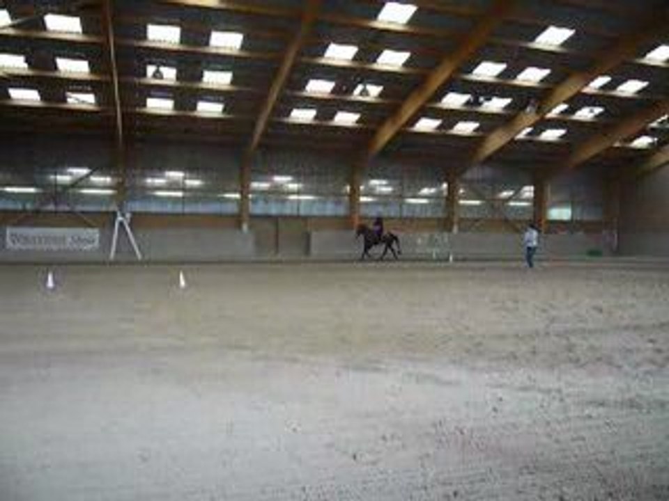 Cour a CM Performance Quarter Horse