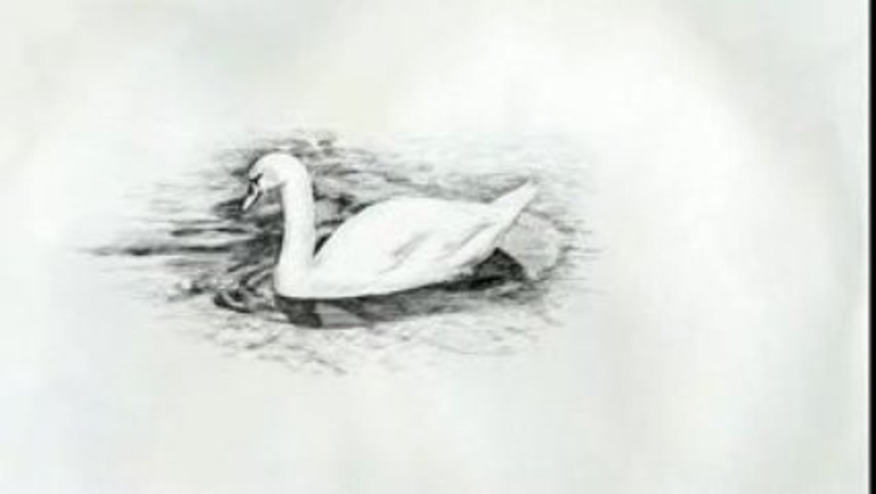 How To Draw Winter from Photograph