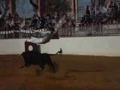 Saut de l'ange de Manu Lataste !!!! courses landaises !!!!!!