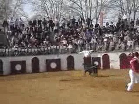 Saut de l'ange de Manu Lataste !!!! courses landaises !!!!!!