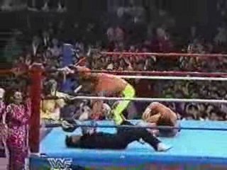 WWF New Japan All Japan Wrestling Summit 2