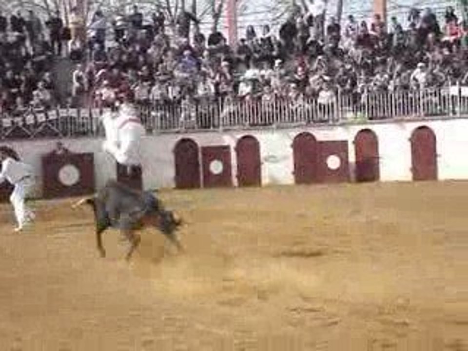 Saut pérrieux de Manu Lataste !!!! courses landaises !!!!!!