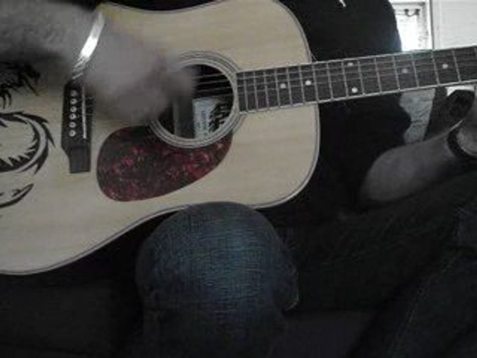 sing travis cover acoustic