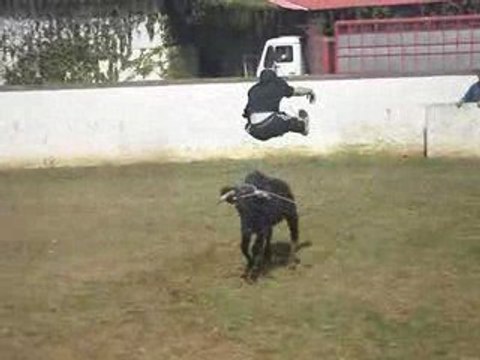 Maxcgb40 en saut à la course !! courses landaises !!