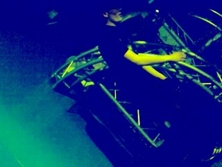 jumpstyle au kes west