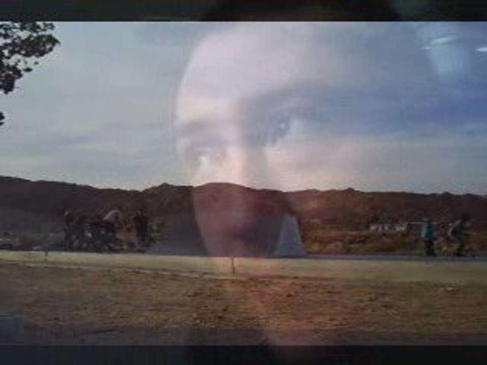 guest half feat species cruzing