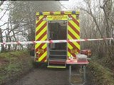 A light aircraft crashes into woodland in Hampshire