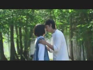 AMV  heavenly forest