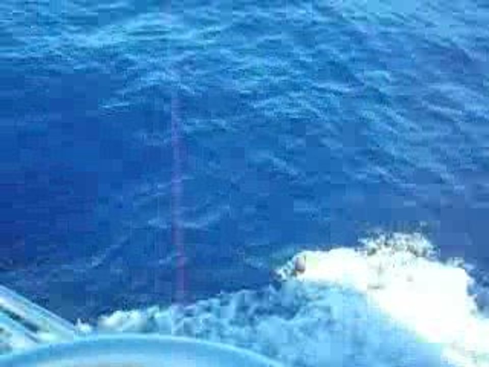 DSCN3340