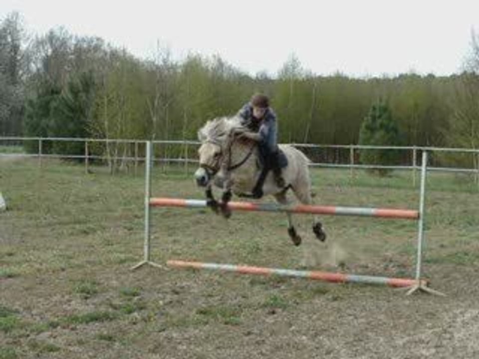 Séance de Saut avec Aiblin le 09.04.2009