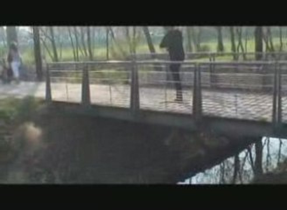 Les hommes grenouilles migrent , regardez autour de vous ..